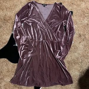 Express Crushed Velvet Dress